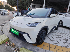 比亚迪 海鸥 2024款 荣耀版 305km 活力版