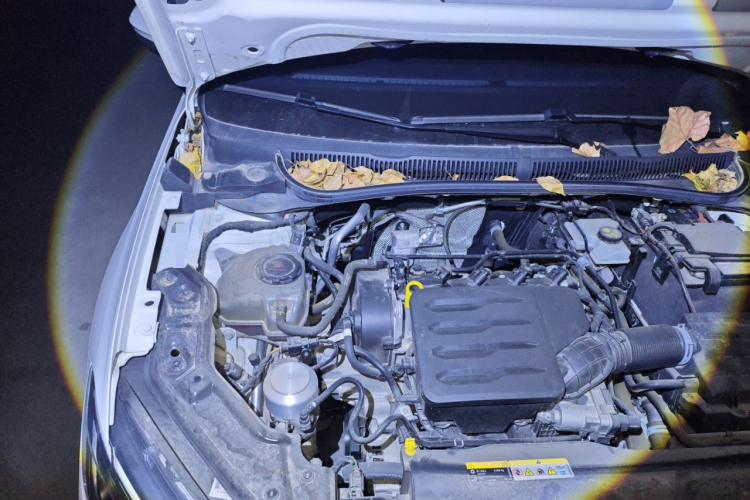 大众 朗逸 2023款 新锐 1.5L 自动新逸版局部细节9006