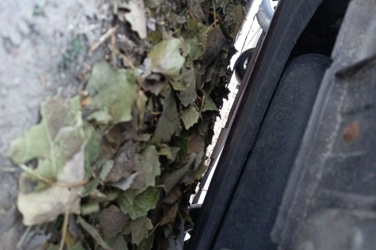 现代 索纳塔 2015款 2.4L TOP旗舰型局部细节9003