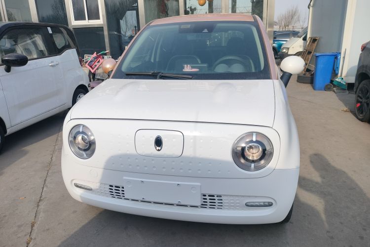 欧拉黑猫 2019款 351km 女神版车身外观2