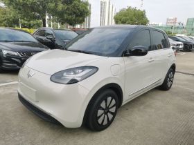 五菱汽车 五菱缤果 2023款 333km 灵犀互联+款