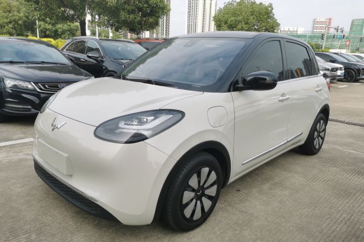 五菱汽车 五菱缤果 2023款 333km 灵犀互联+款车身外观1