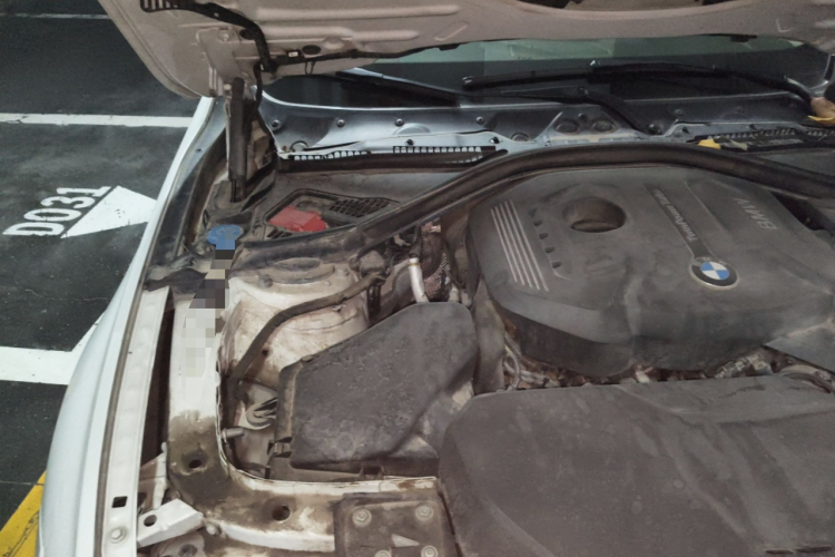 宝马3系 2018款 320Li 领先型M运动套装局部细节9006