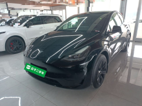 特斯拉 Model Y 2023款 后轮驱动版