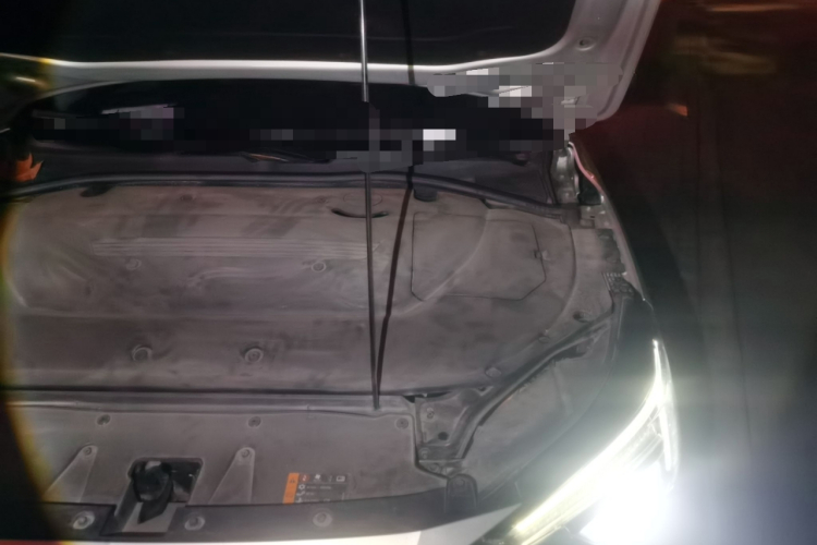 飞凡汽车 飞凡ER6 2021款 新动版 620km 智享版局部细节9007