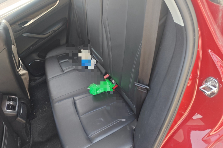 汉腾汽车 汉腾X7 2016款 2.0T DCT尊享型中控内饰21