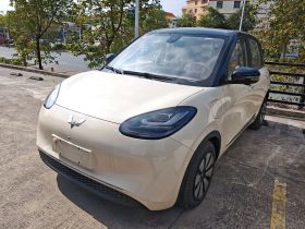 五菱汽车 五菱缤果 2025款 410km 灵犀尊享款