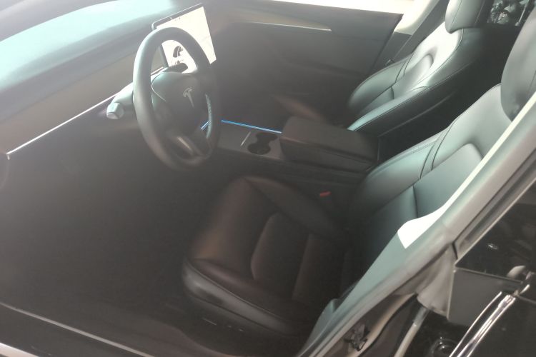 特斯拉 Model 3 2021款 改款 标准续航后驱升级版 3D1中控内饰19