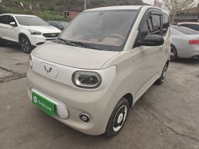 五菱汽车 宏光MINIEV 2024款 第三代 215km 青春版