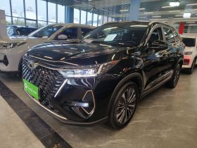 奇瑞 瑞虎8 PRO 2024款 冠军版 390T 两驱巅峰版 7座