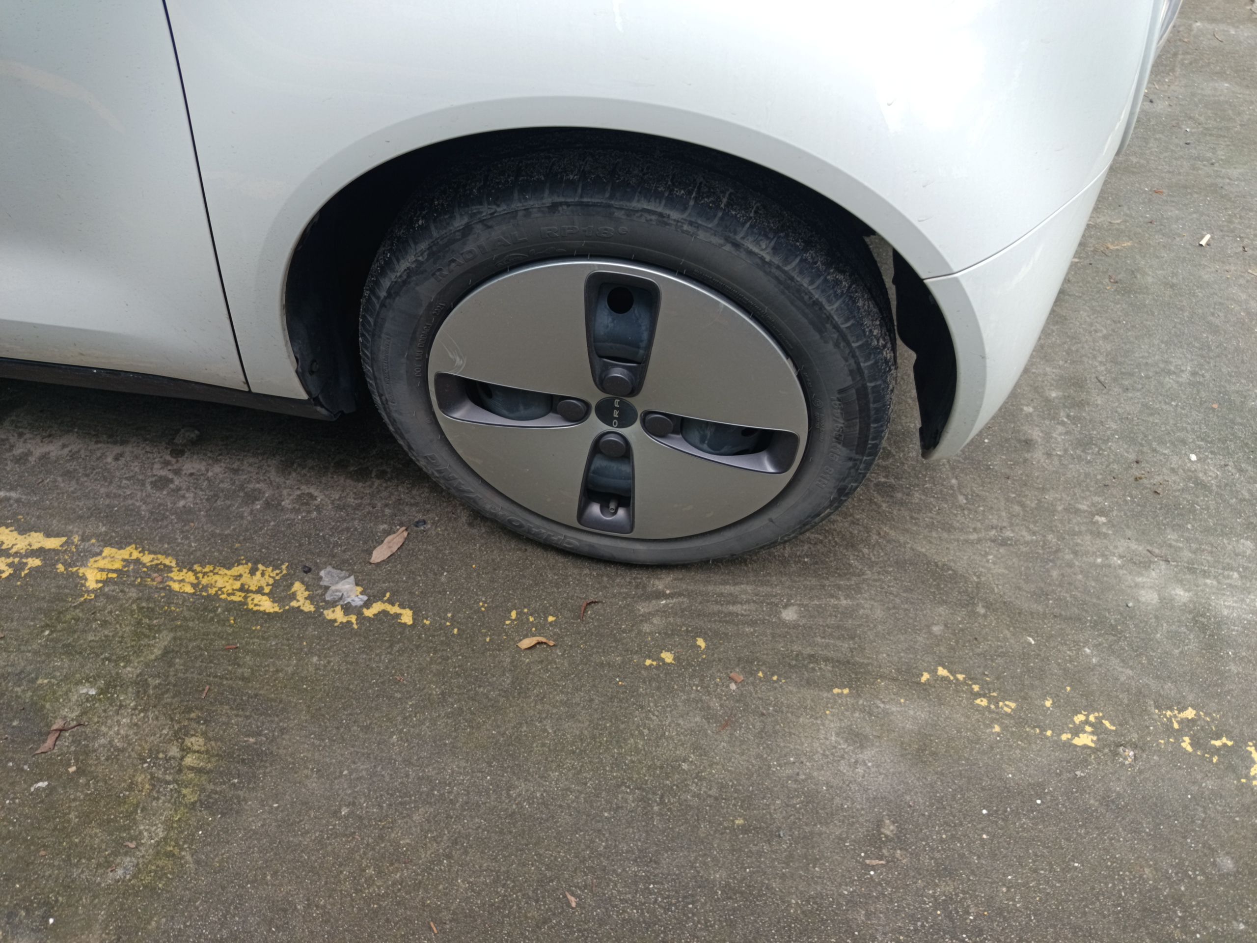 欧拉黑猫 2021款 301km 萌宠版