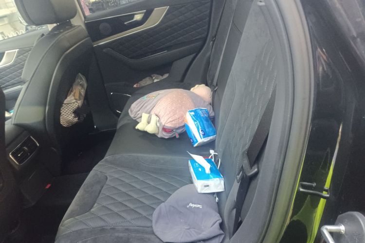 红旗HS5 2019款 2.0T 智联旗享四驱版中控内饰21