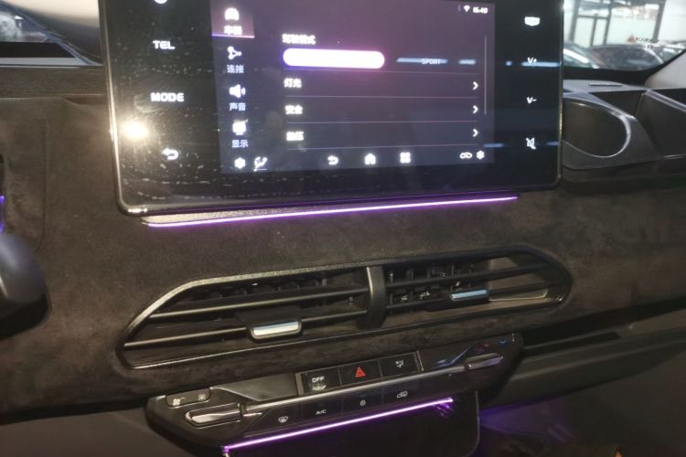 吉利银河 2024款 熊猫mini 200km 耐力熊局部细节16