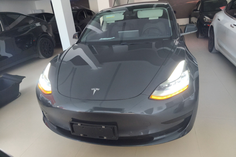 特斯拉 Model 3 2019款 标准续航后驱升级版车身外观6001