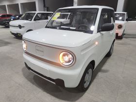 吉利银河 2024款 熊猫mini 200km 耐力熊