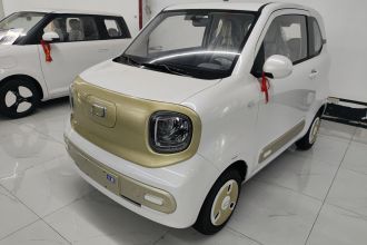 奔腾小马 2025款 222km 闪电马