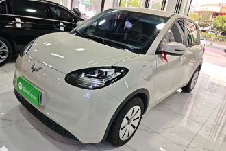 五菱汽车 五菱缤果 2025款 203km 轻享款