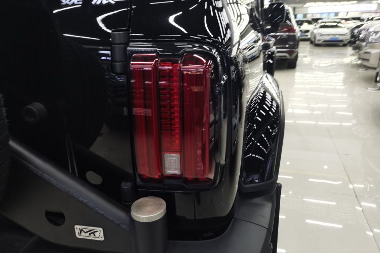 坦克300 2021款 城市版 2.0T 必须型车身外观9