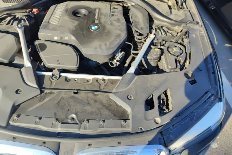 宝马5系 2018款 525Li 豪华套装局部细节9007