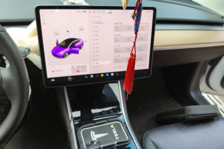 特斯拉 Model 3 2019款 标准续航后驱升级版中控内饰16