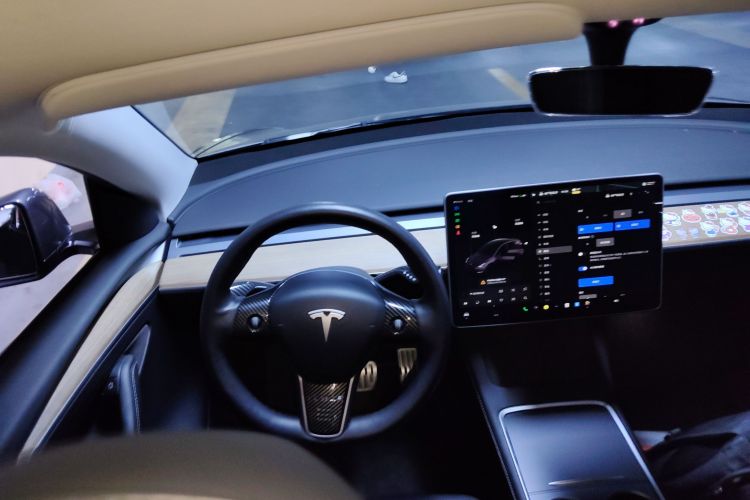 特斯拉 Model Y 2021款 Performance高性能全轮驱动版中控内饰13