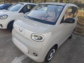 五菱汽车 宏光MINIEV 2024款 第三代 215km 青春版