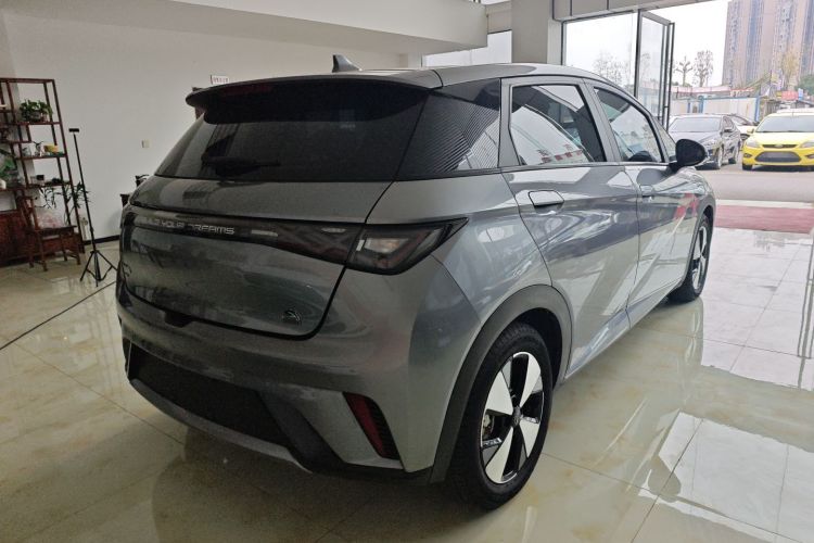 比亚迪 海豚 2023款 420km 自由版车身外观7