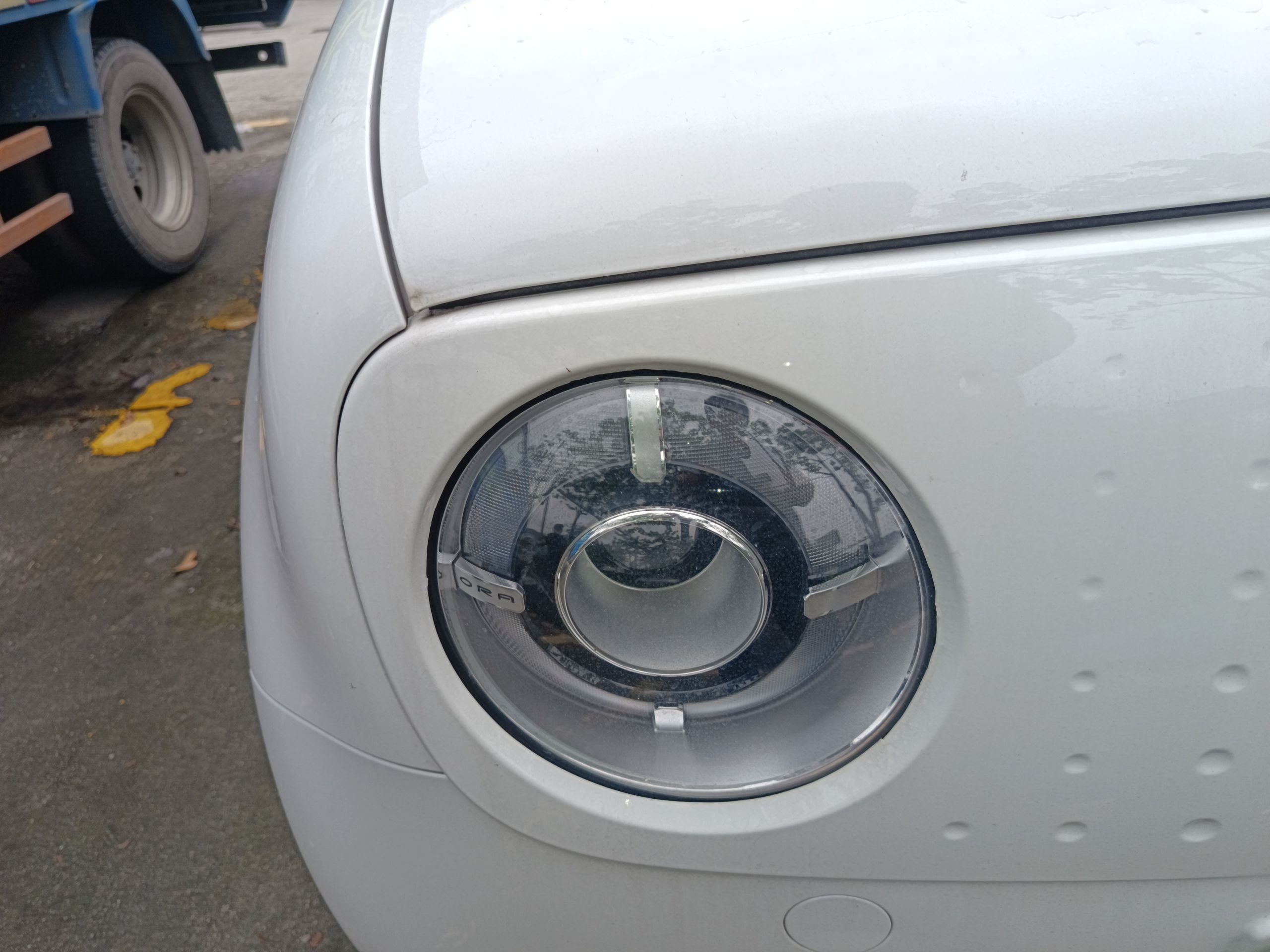 欧拉黑猫 2021款 301km 萌宠版