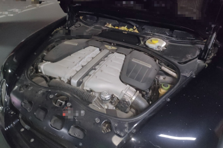 宾利 飞驰 2010款 6.0T 四座版局部细节9007