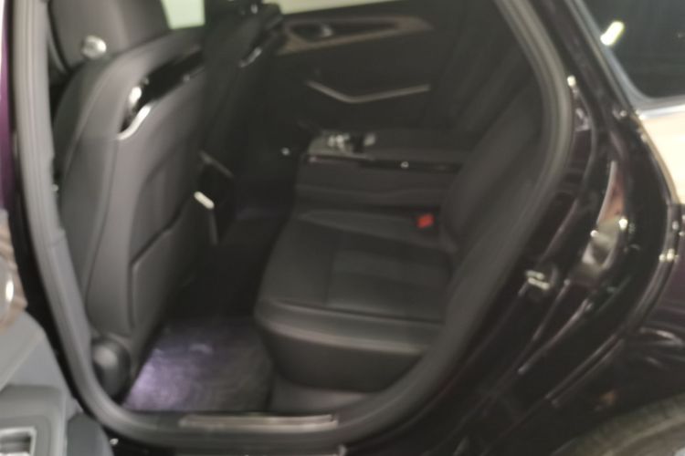 红旗H9 2022款 2.0T 智联旗享版中控内饰7004