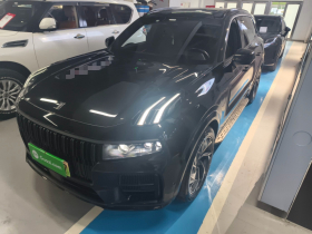 领克09 EM-P 2021款 2.0T PHEV Halo 六座