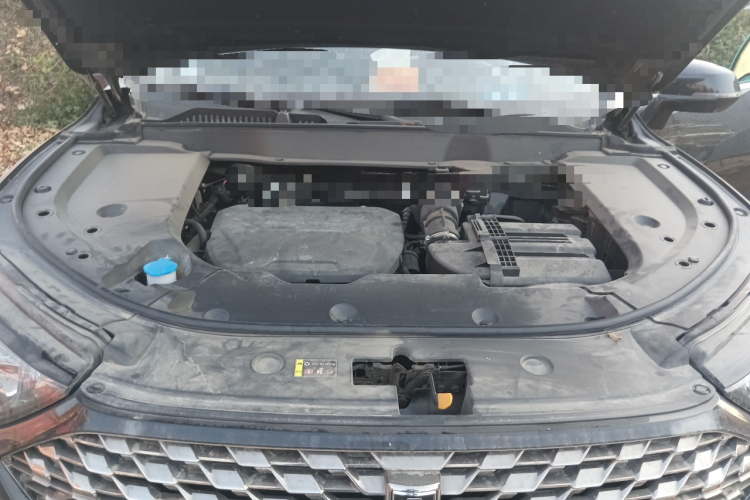 魏牌 拿铁DHT 2022款 1.5T DHT超大杯局部细节24