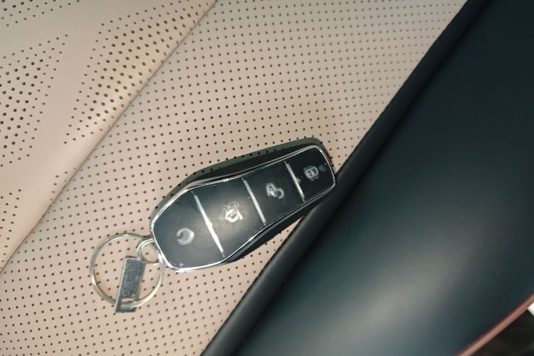 比亚迪 海豚 2024款 荣耀版 420km 自由版中控内饰7001