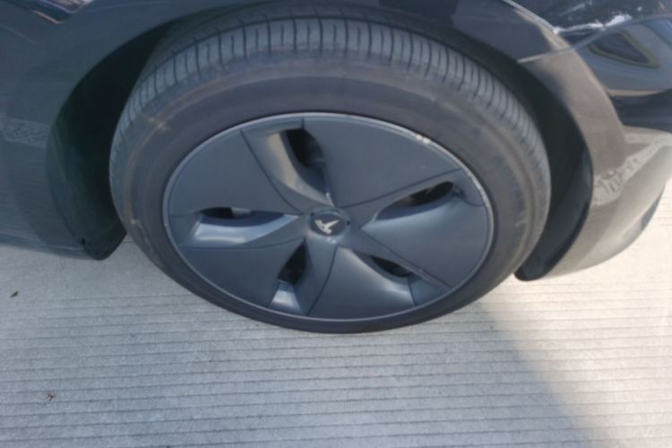 特斯拉 Model 3 2020款 改款 标准续航后驱升级版车身外观6007