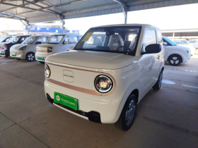 吉利银河 2024款 熊猫mini 200km 耐力熊