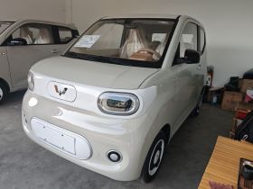 五菱汽车 宏光MINIEV 2024款 第三代 215km 青春版