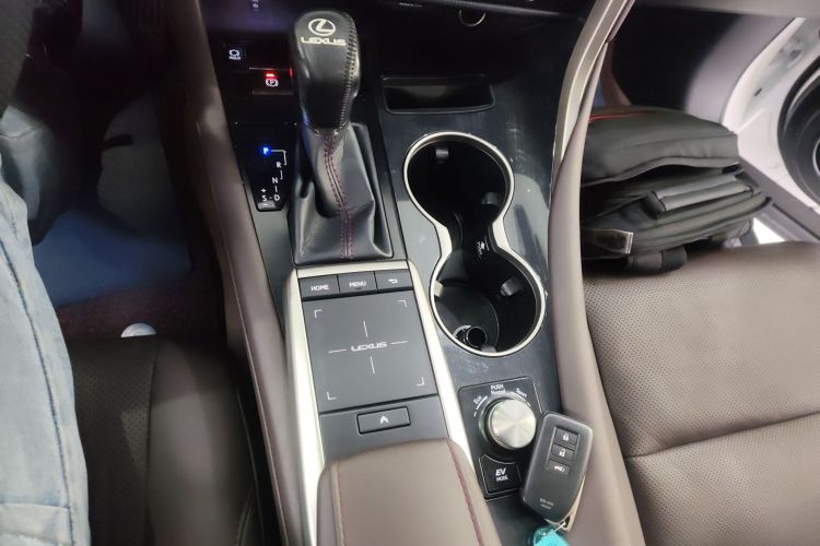 雷克萨斯RX 2020款 改款 450h 四驱典雅版局部细节18