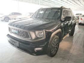 哈弗大狗 PLUS 新能源 2024款 Hi4 102km 潮电版Plus