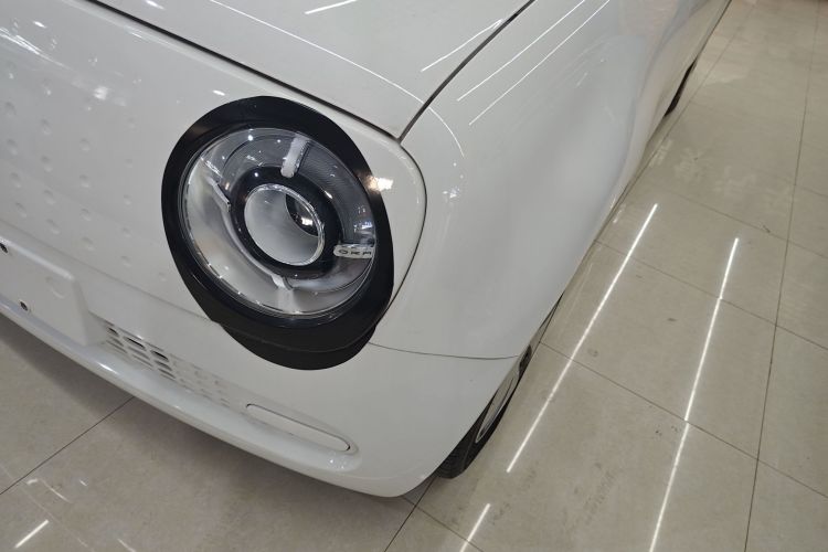 欧拉黑猫 2021款 301km 萌宠版局部细节36