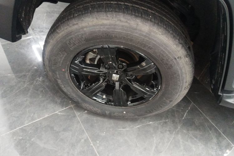 坦克300 2024款 2.0T 挑战者车身外观6008