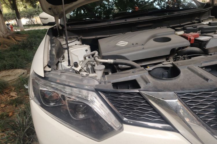 日产 奇骏 2014款 2.0L CVT舒适版 2WD局部细节9006