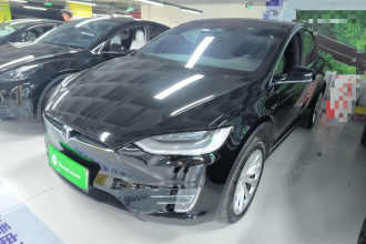 特斯拉 Model X 2019款 长续航版