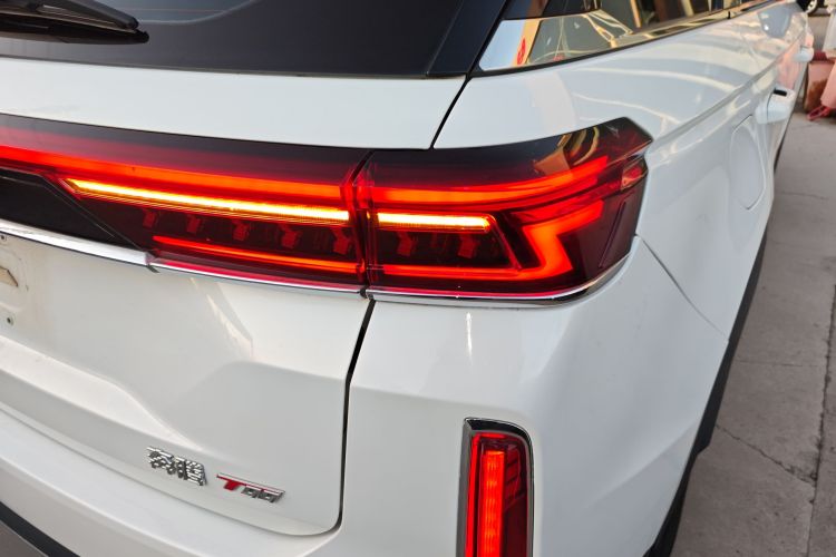 奔腾T99 2020款 20TD 自动尊享型车身外观6006