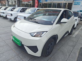 比亚迪 海鸥 2025款 智驾版 305km 活力版