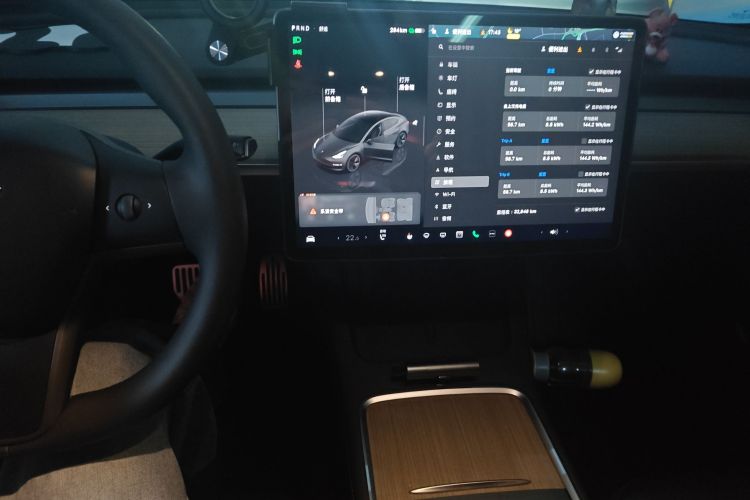特斯拉 Model 3 2022款 后轮驱动版中控内饰16