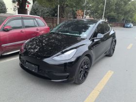 特斯拉 Model Y 2021款 长续航全轮驱动版