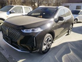 魏牌 玛奇朵 2021款 1.5L DHT特调版