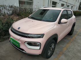 东风纳米EX1 2023款 PRO 轻风版闪电型