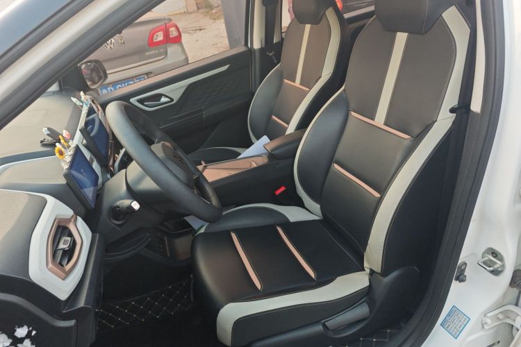 思皓 2022款 花仙子款 四叶草局部细节19