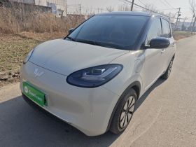 五菱汽车 五菱缤果 2024款 333km 悦享款